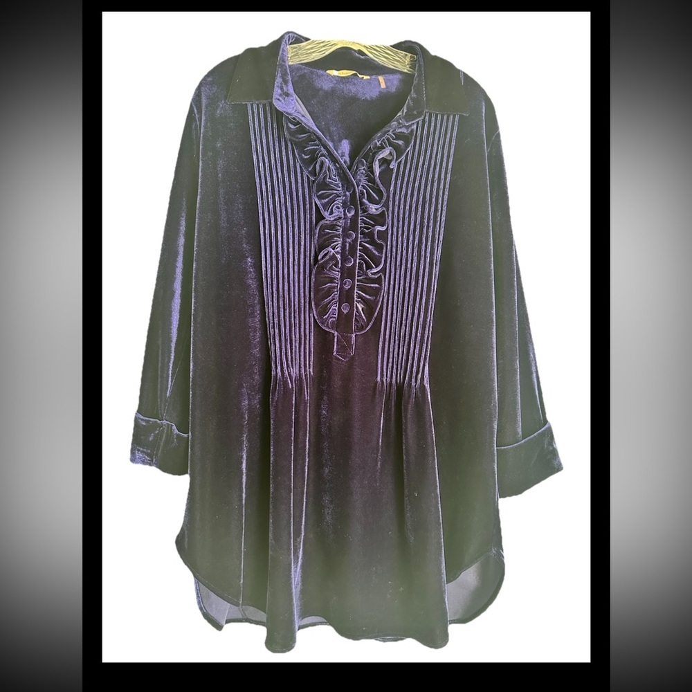 SOFT SURROUNDINGS Women’s Royal Purple Plush Tunic Top Sz L